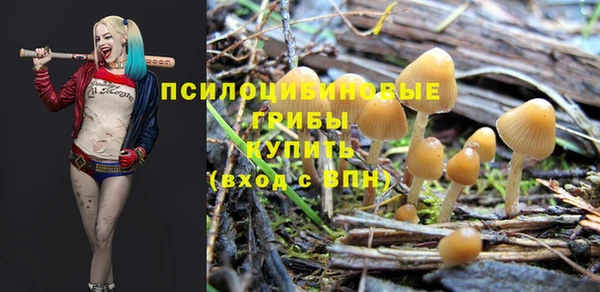 кокс Алзамай