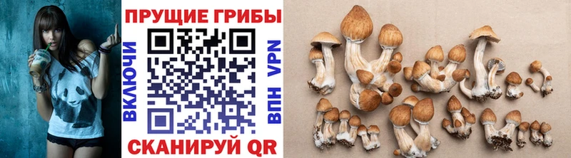 даркнет наркотические препараты  Хадыженск  Галлюциногенные грибы мухоморы  где можно купить наркотик 